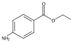 Benzocaine WS