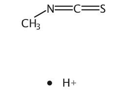 Methyl Isothiocyanate Conjugate Acid