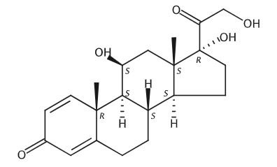 Prednisolone WS