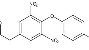 Levothyroxine Impurity D (Stage-3 )